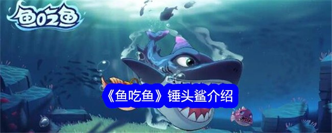 【攻略】鱼吃鱼锤头鲨全面解析！