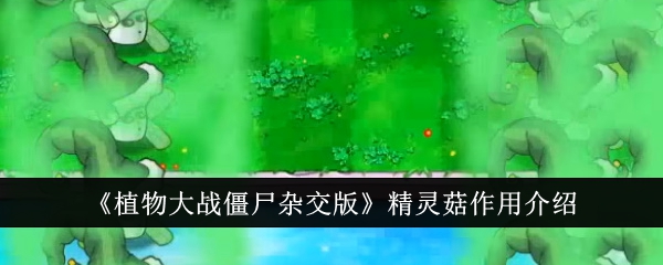 【必看】植物大战僵尸杂交版：精灵菇攻略详解