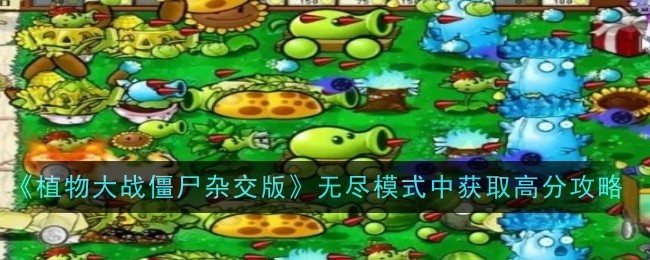 《植物大战僵尸杂交版》无尽模式高分攻略大揭秘！