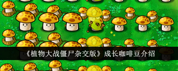 【攻略】植物大战僵尸杂交版：咖啡豆成长详解