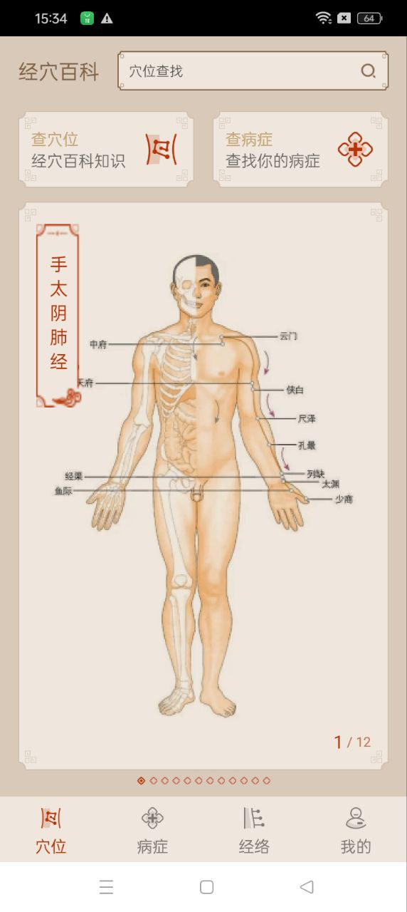 经络图解app下载安装